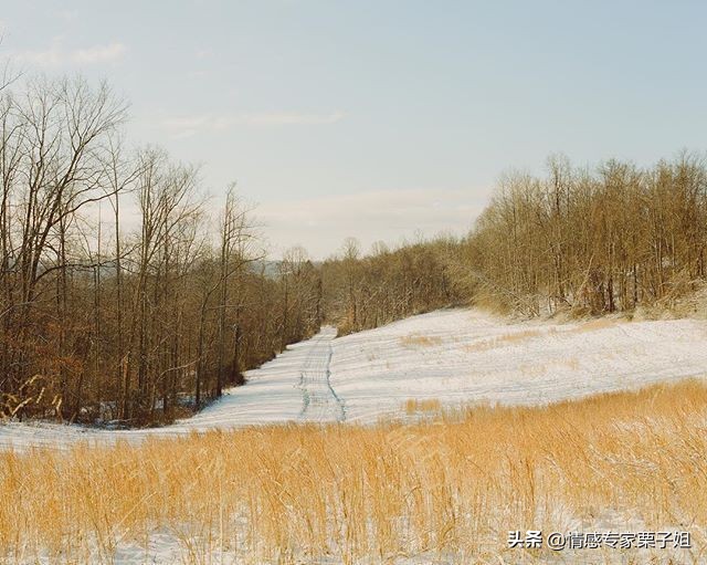 情感咨询｜栗子姐每日情感问答（0619）