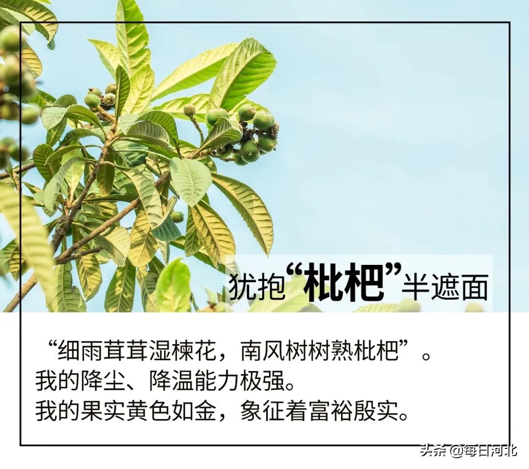 一个温暖又有趣的酒店,选择一个舒适温暖的酒店