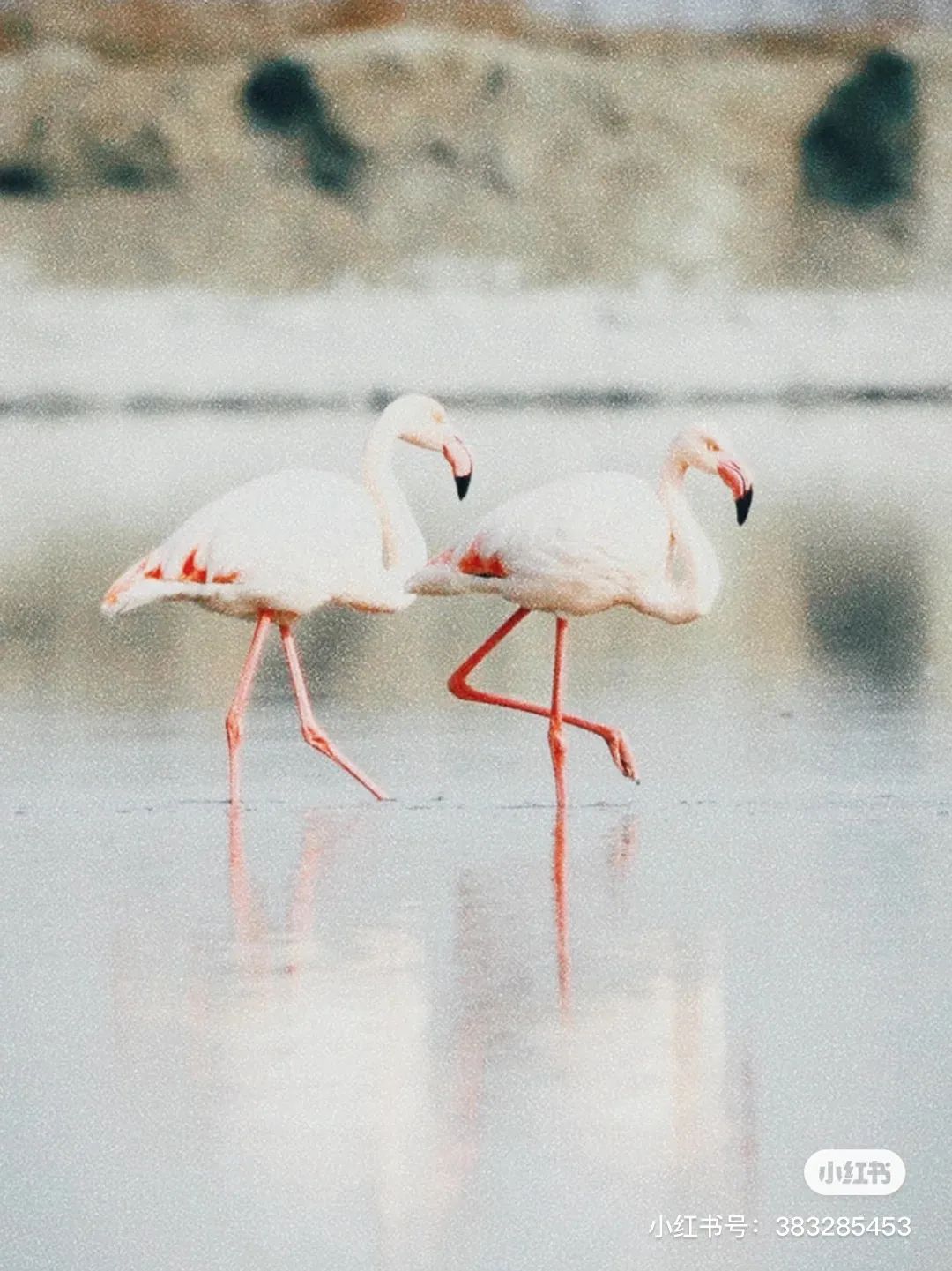 盐湖区中国死海,中国死海停业了吗