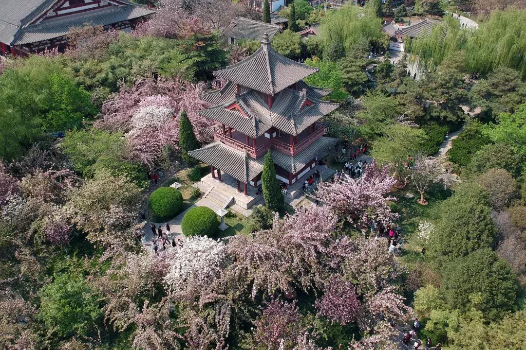 最美的花送给大家共赏,最美的花送给大家观赏