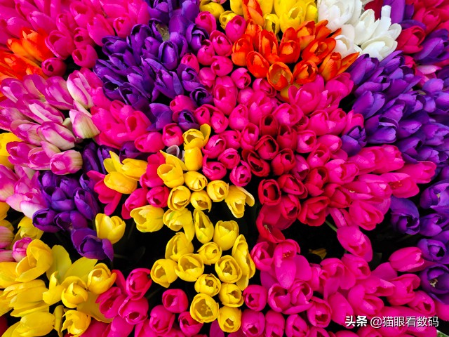 vivox27拍照长曝光效果,vivox27测评拍照