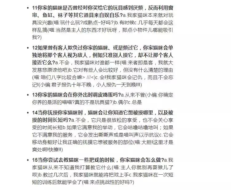 猫咪有个超有情商的铲屎官,猫咪智商测试果然豆丁智商最高