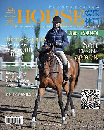 马身上的烙印图,马身上的记号怎么弄