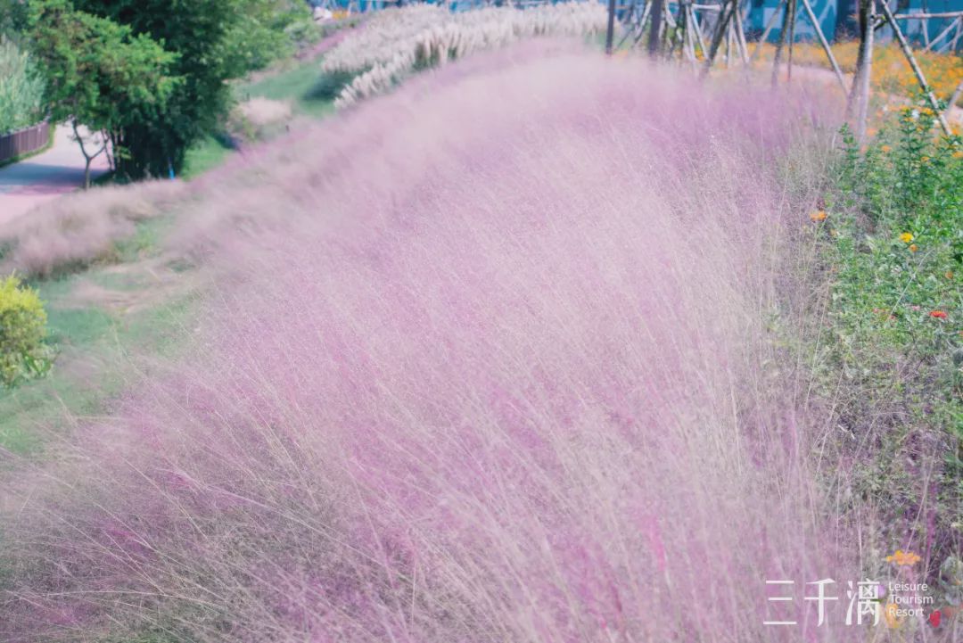 柳州周边迅速蹿红的江枫船屋别墅!天空之境简直美绝了