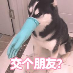 华为emui9.1还可以升级吗,华为emui9.1更新后变流畅了吗