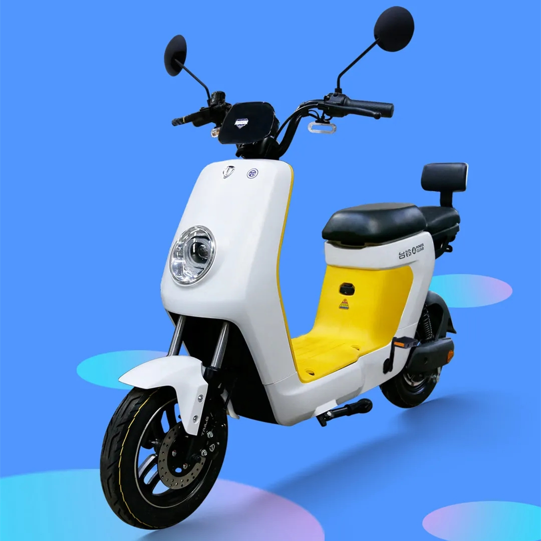 电动自行车续航200公里高性价比车,电动自行车最实用车型