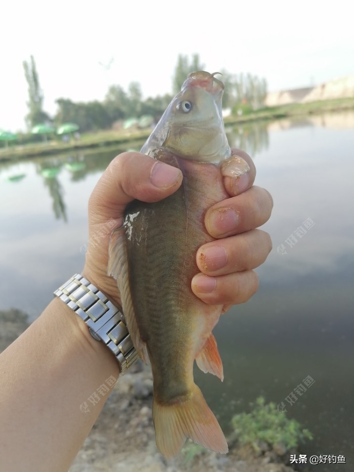 阿克苏毕业季,再见新疆阿克苏原版