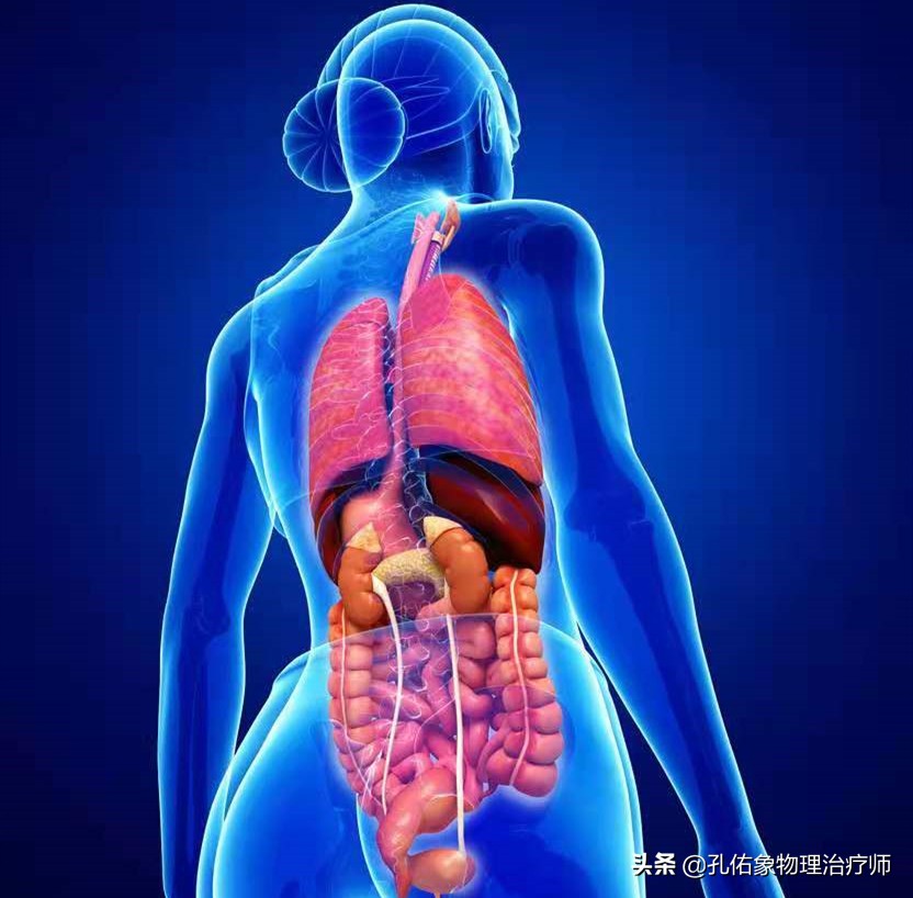 胸和肩胛骨疼痛是什么原因,右胸和后背肩胛骨疼痛是什么原因