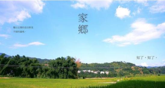 日本三和大神龙华基地,日本三和大神打工视频