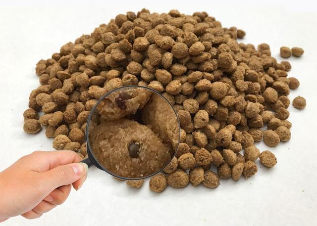 金毛犬怎么是纯种金毛,纯种金毛的特征