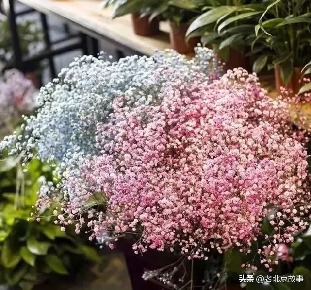 官园拆迁安置房,官园拆迁安置房拿房时间