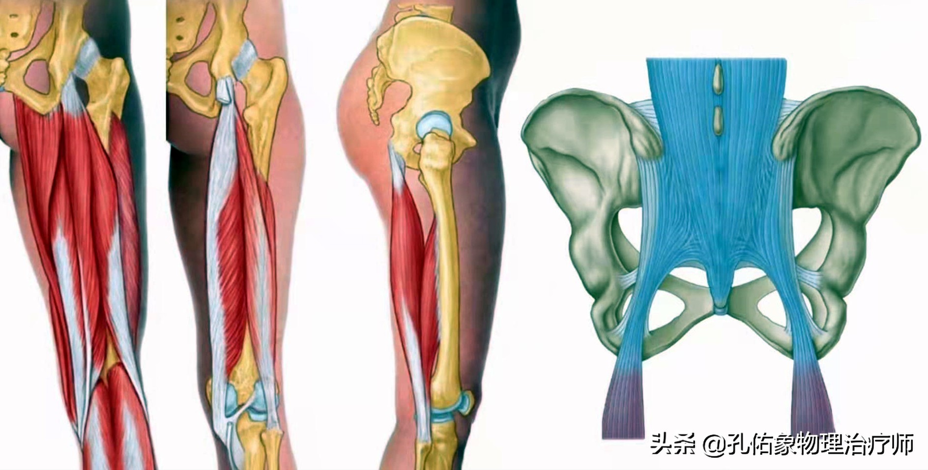 为什么弯腰之后就起不来,为什么弯腰起来特别不舒服