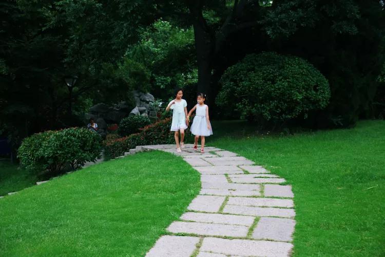 尼康入门单反,单反快速入门攻略