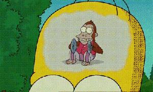 数学万物皆数,万物皆数全息数学