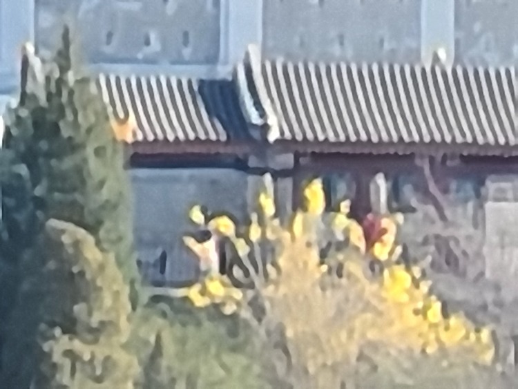 除了拍照片还能干啥,除了拍写真还可以干嘛