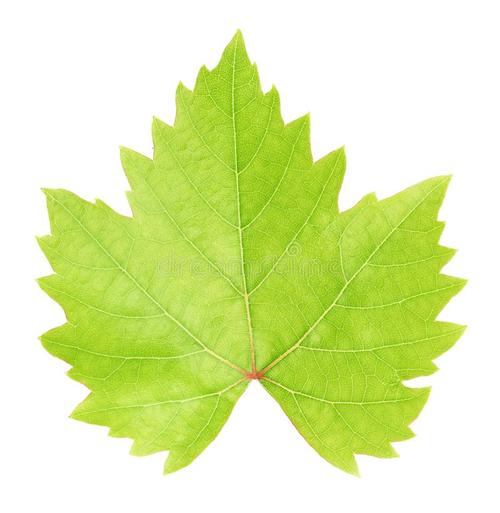 明日方舟地名考据,明日方舟考据