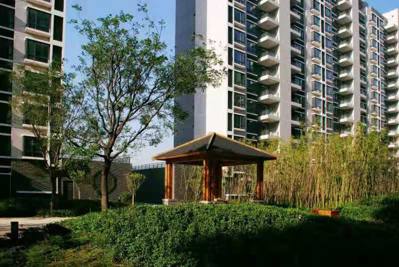 多元布局产业发展,多元布局战略转型