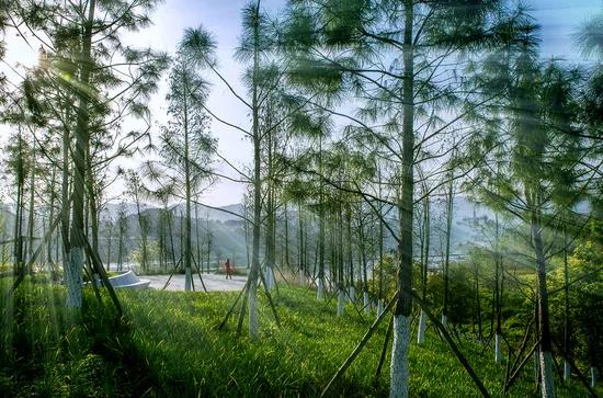 融创壹号院40年,融创壹号院和建发朗玥