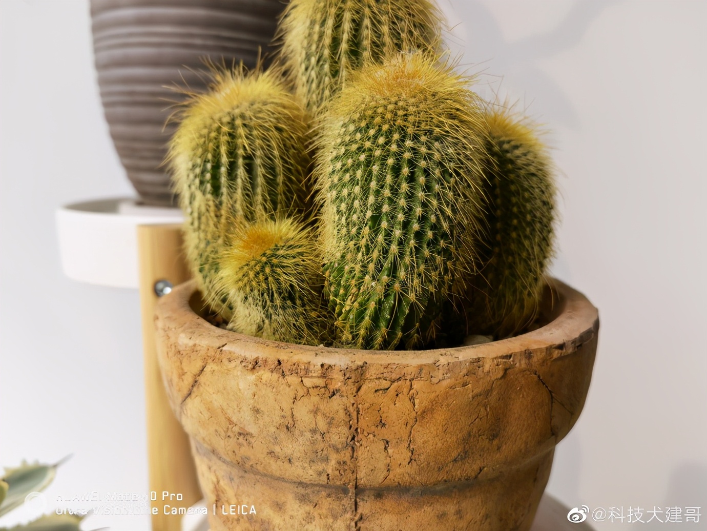 为什么魅族18要称之为小屏旗舰,魅族18spro拍照深度评测