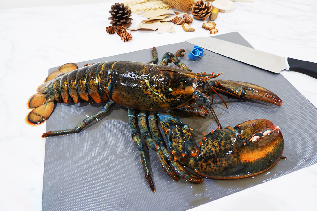 戈登拉姆齐龙虾肉,戈登拉姆齐取龙虾肉视频