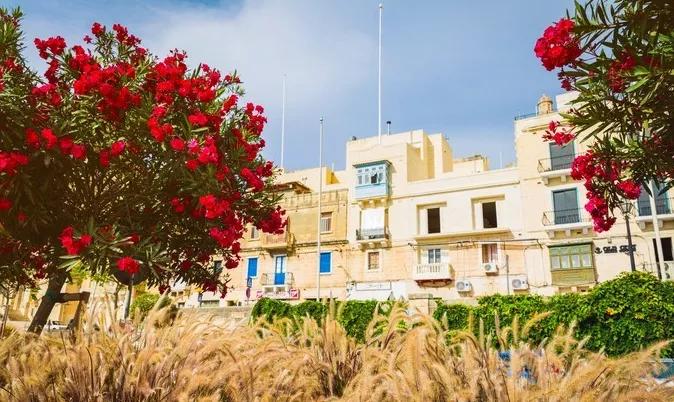 马耳他地中海迷人蓝色海水,地中海明珠马耳他视频