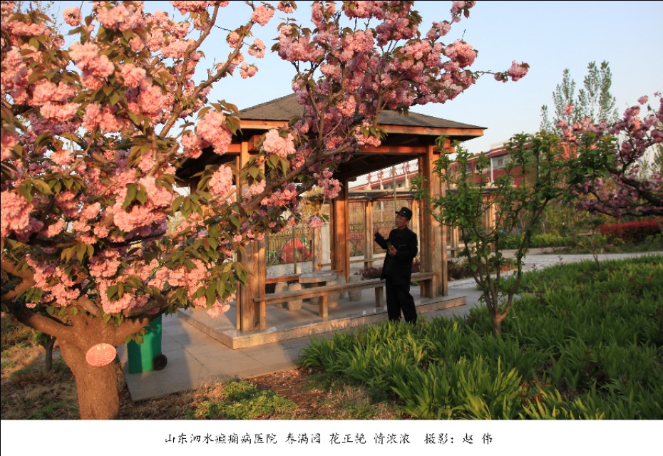 山东泗水癫痫病医院花香四季情暖人间——赵伟摄影、撰文