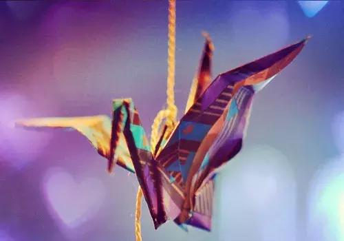 嫁对人天天都是情人节文案,选对人天天都是情人节