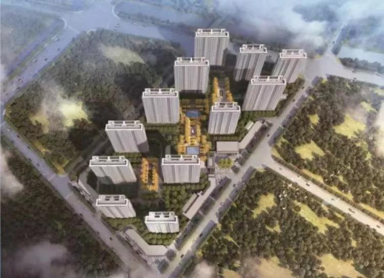 北京东路小学什么时候上学,北京东路小学本校