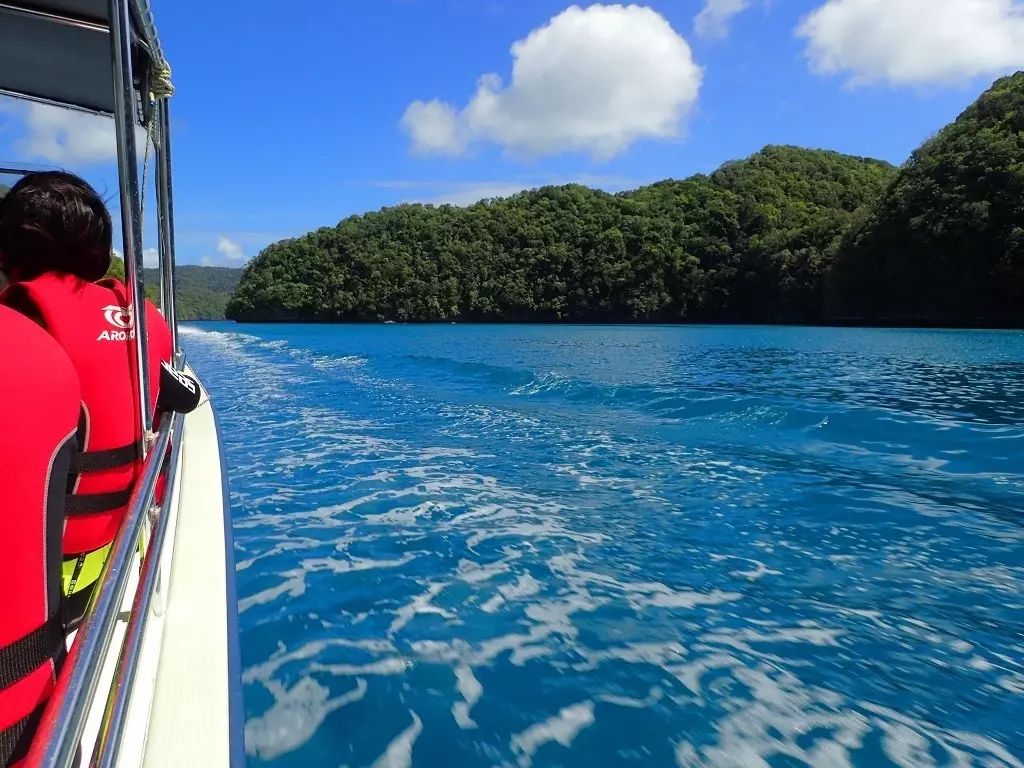 帕劳归来不看海谁说的,帕劳归来不看海
