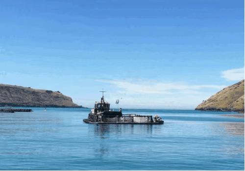 新西兰美食100种,哪里有新西兰水果