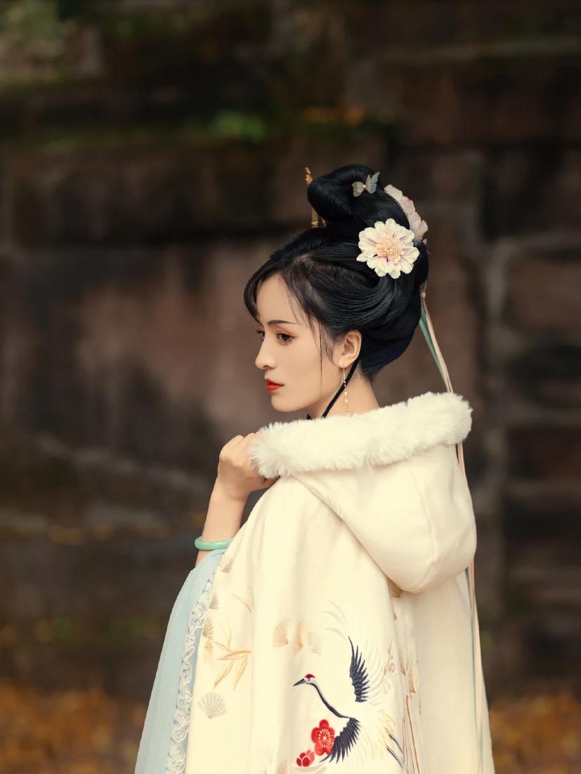 渣王说让母亲把婢女红鸾送给他做侧妃,红鸾宁死不屈