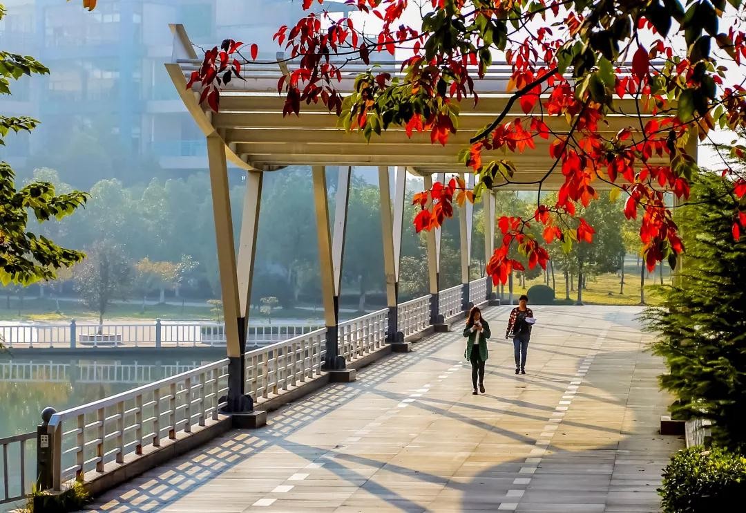 全国食堂最好吃的十所高校,全国最美高校食堂排名