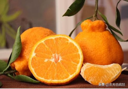 即将上市的网红水果品种,最近火爆的网红水果