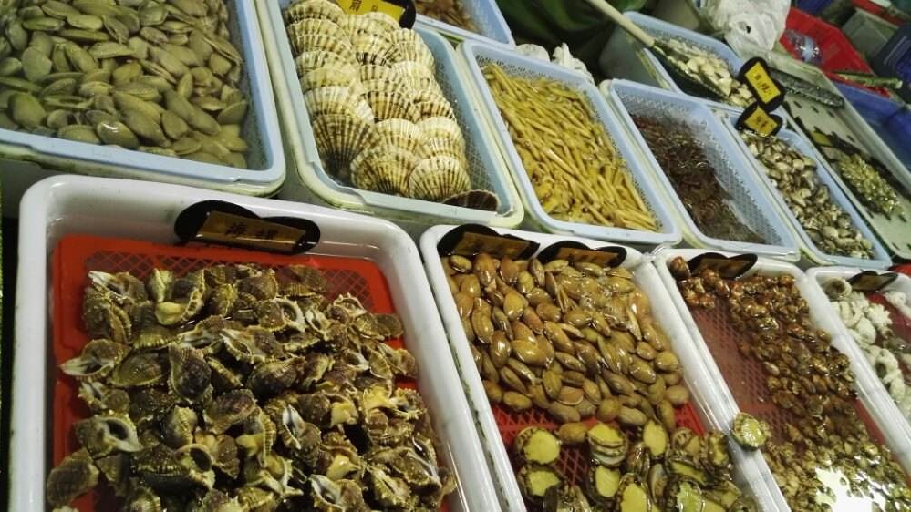 与澳门隔江相望,与澳门隔江相望的地方