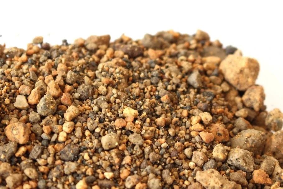 刚买的带盆多肉怎么处理,原盆原土的多肉回来怎么上盆