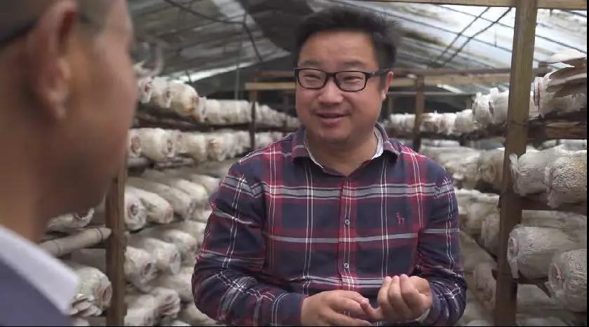 布瑞克农产品数据库,布瑞克农业数据库下载