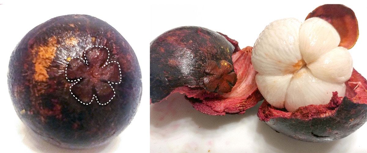 山竹是低糖还是高糖水果,山竹是减肥还是长胖的