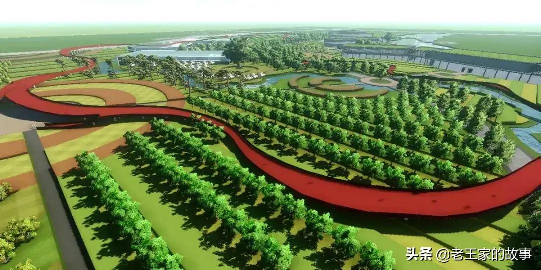 2020年重点农业项目有哪些,2021国家重点扶持的农产品项目