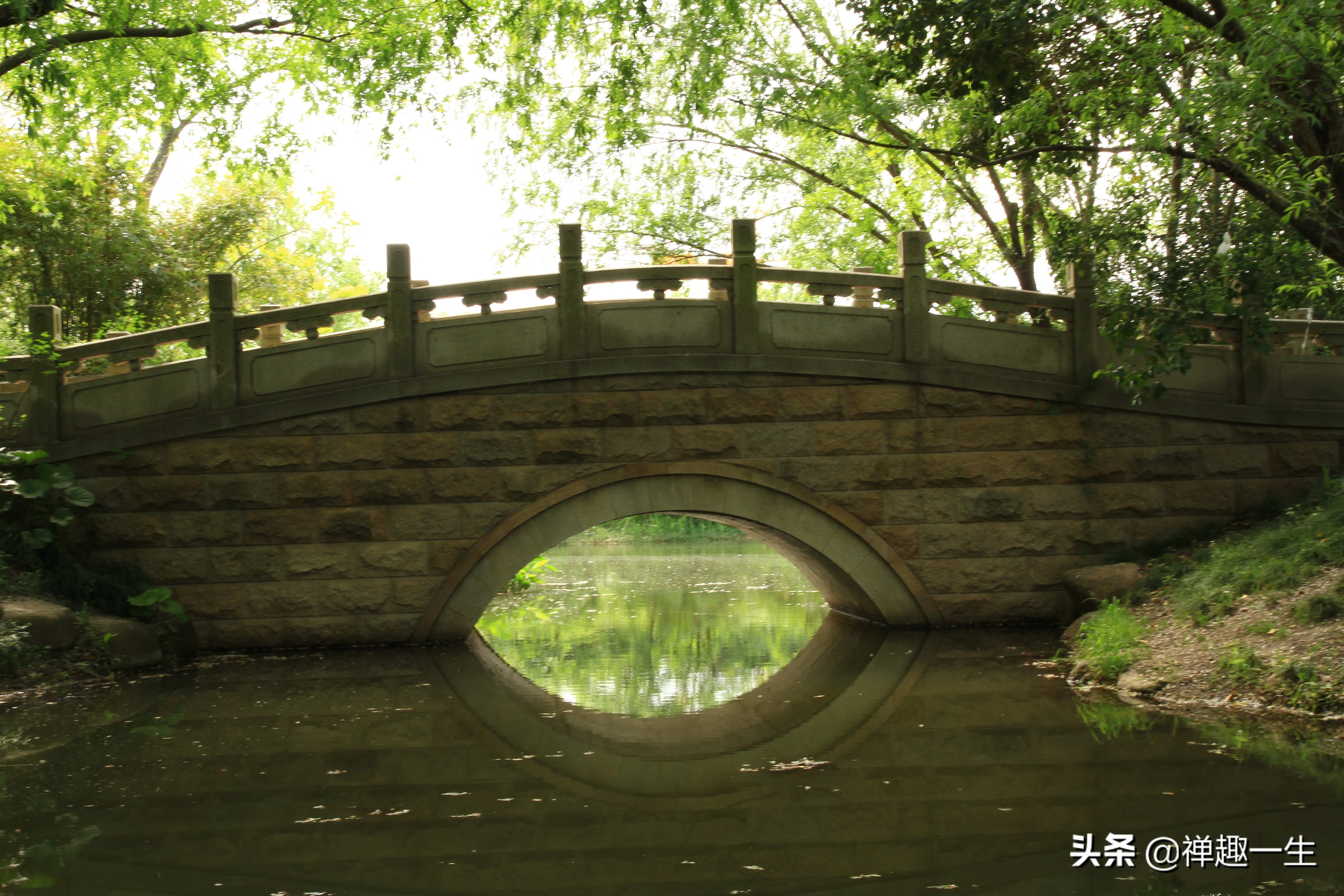 九曲江湾，十里湿地，鸟语花香，沪上最美中心城区，您去过吗？