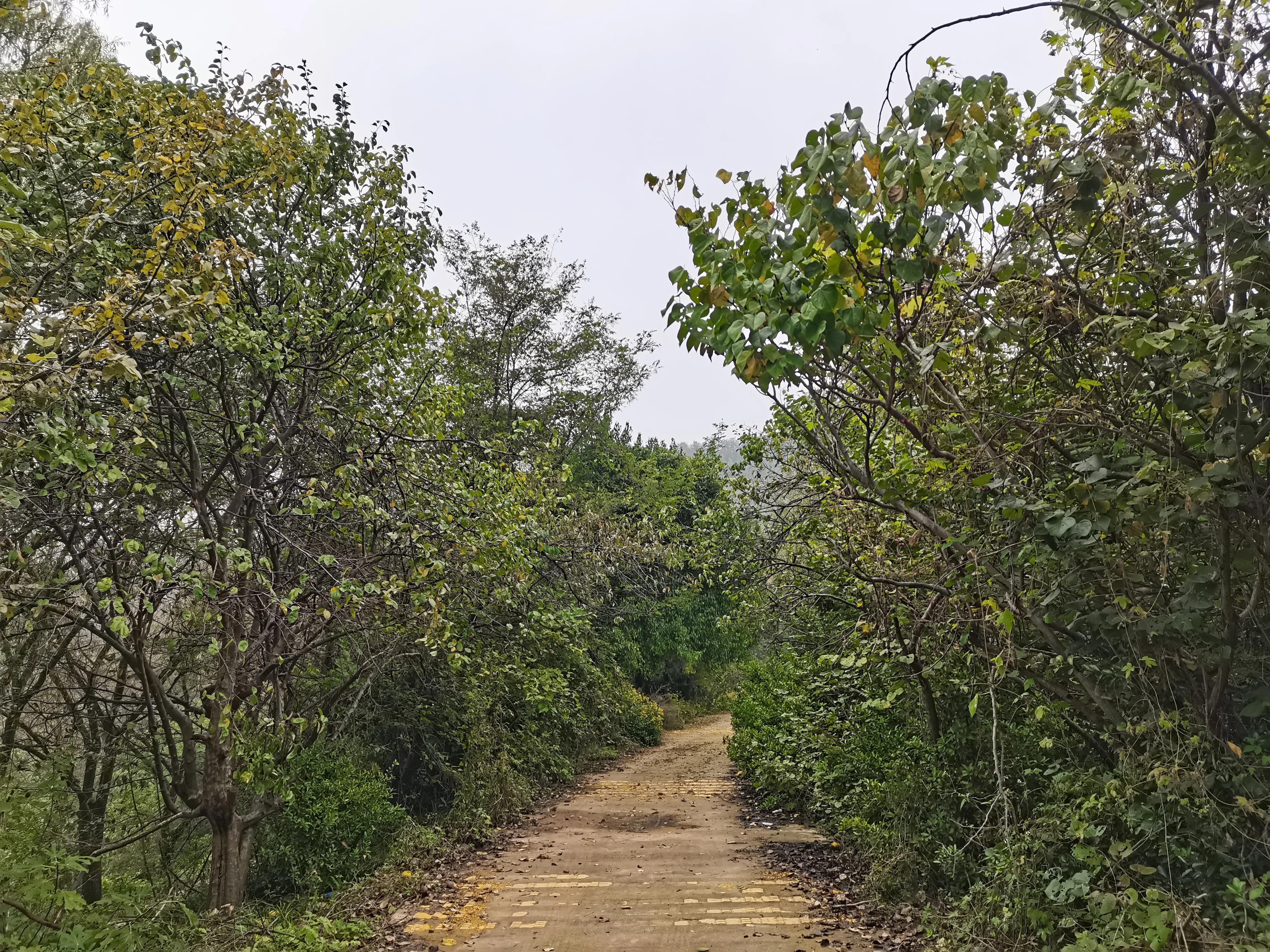 西安洪庆山自驾游路线图,西安洪庆附近旅游景点