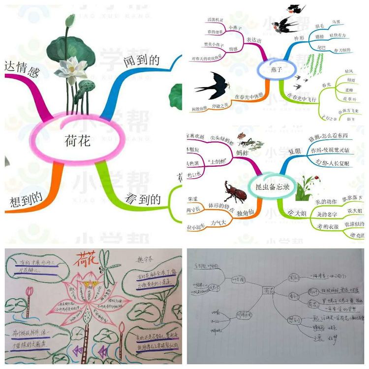 靖师附小线上备课惊艳网络,很多老师感慨:是该好好向附小看齐了