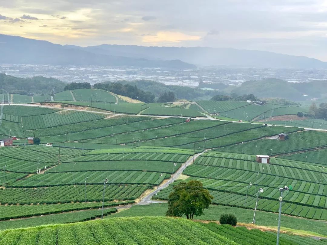 秘境的攻略,秘境旅游小众