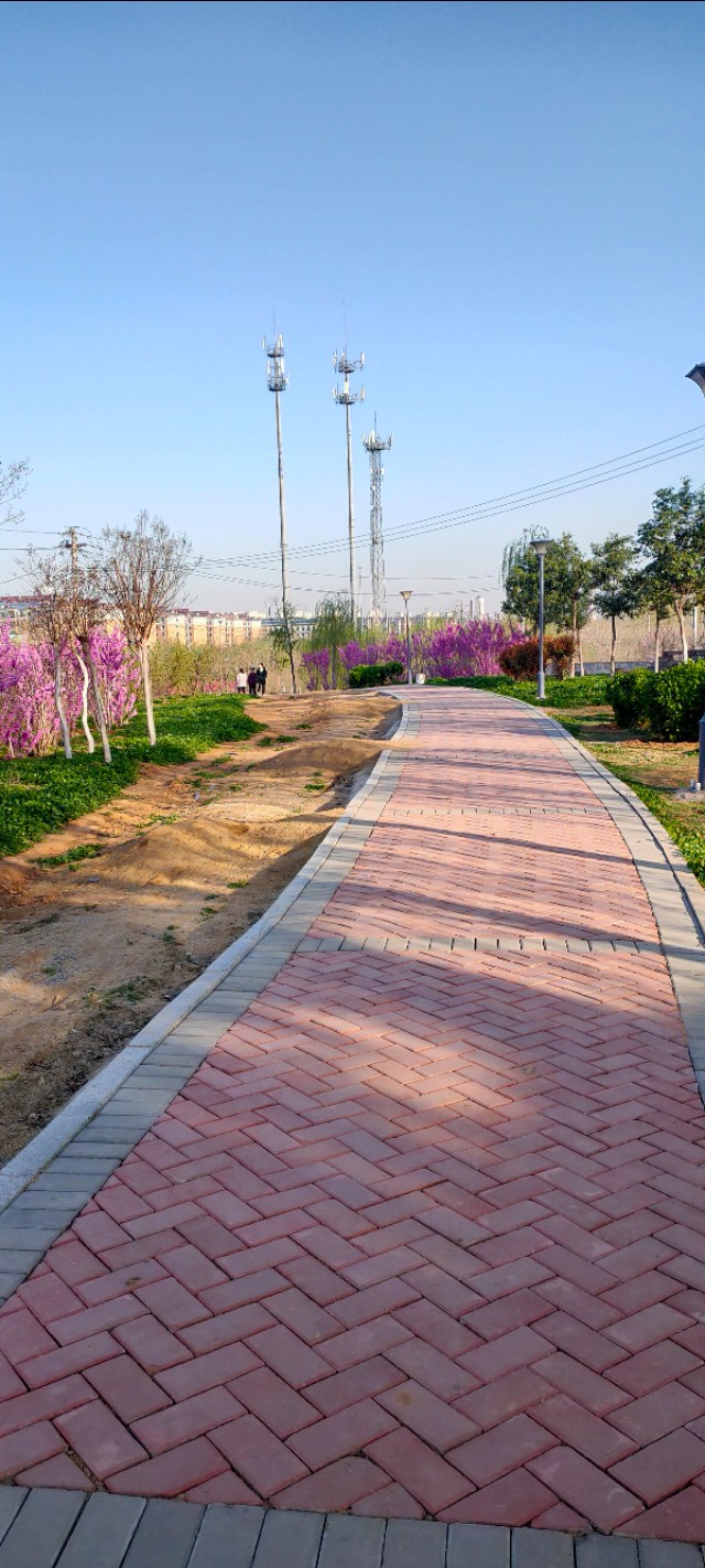 鲍山花园可以游玩的地方,鲍山公园跑步