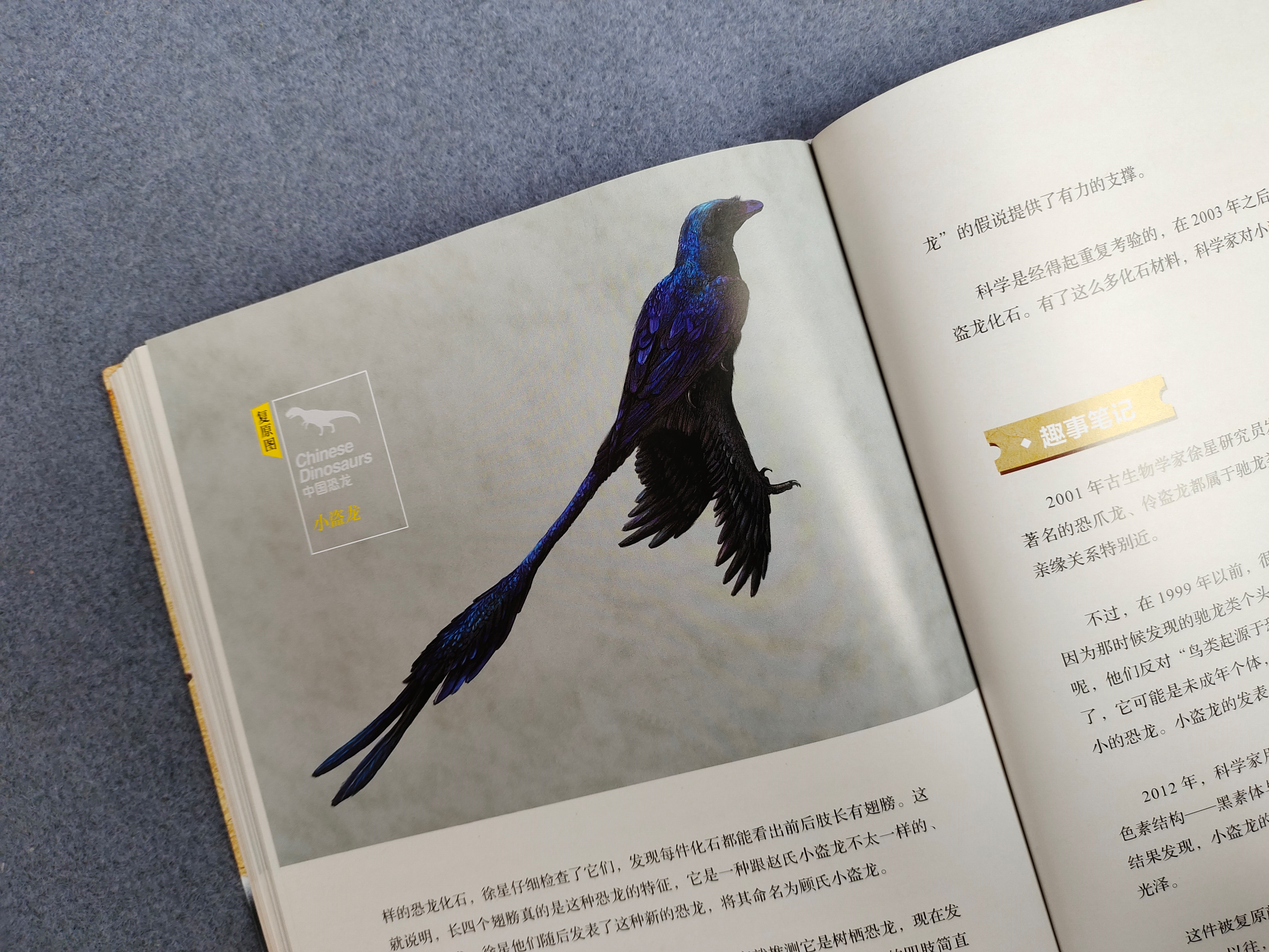 世界上知识点最全的恐龙百科全书,恐龙百科全书恐龙世界的无穷奥秘