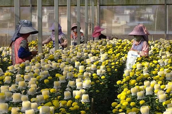 推动绿色发展（64）丨云南开远：污染之城蜕变为生态宜居之城