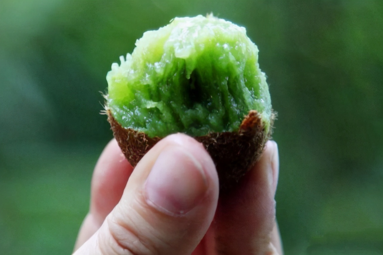 猕猴桃催熟不当会有什么后果,为什么红心猕猴桃不用催熟