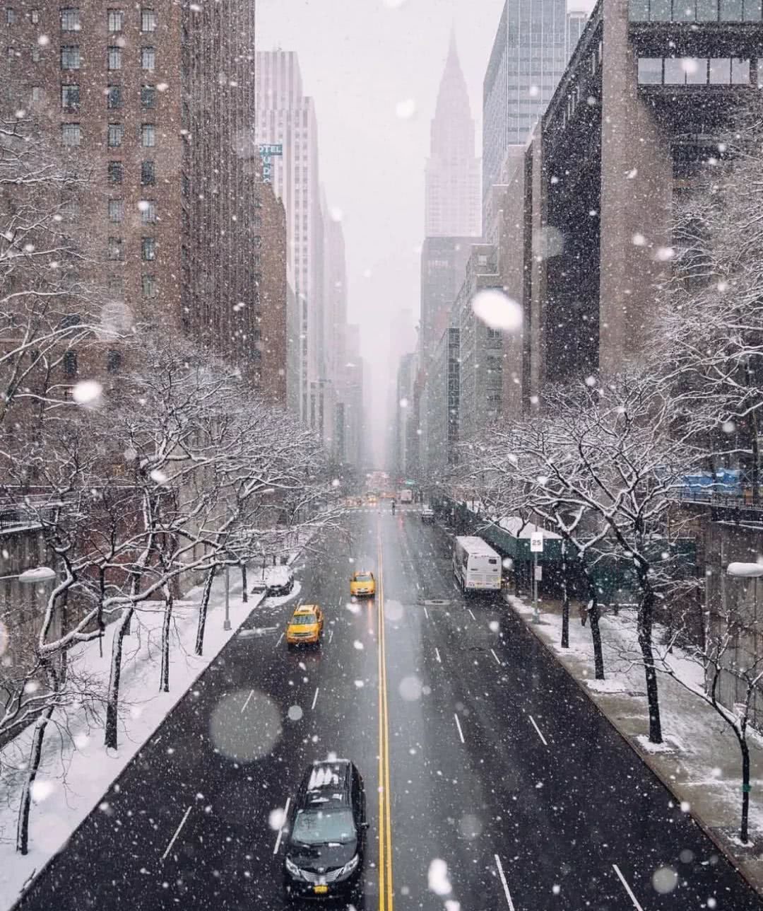 杨幂肯豆私服,肯豆杨幂跳舞走红毯