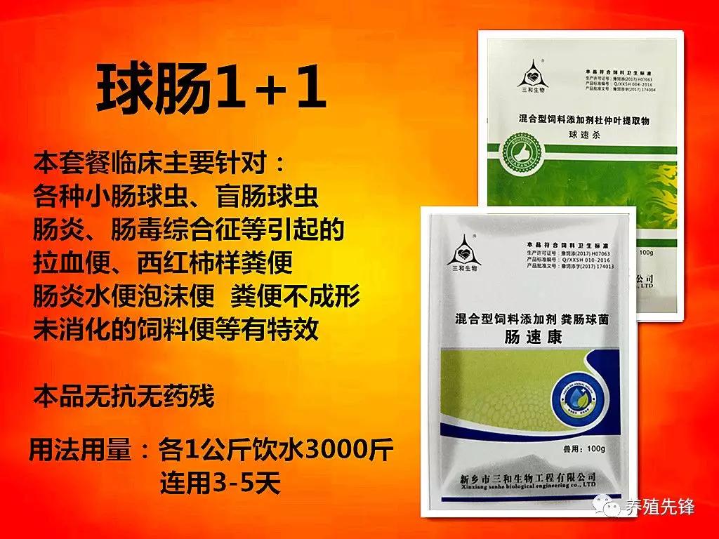 散养蛋鸡光照能延长多久,蛋鸡强制换羽能延长产蛋多久