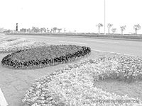 一篇文章读懂拓扑排序,一篇文章读懂摄影