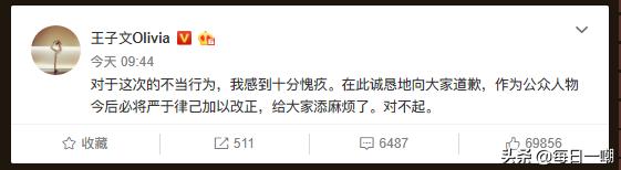 王子文高铁脚踩小桌,王子文道歉脚踩高铁桌板